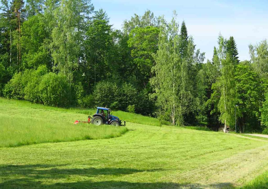 3.4.3 Niitto Niittämällä on perinteisesti hoidettu niittyjä, mutta se on tärkeä hoitomuoto myös pientareiden, joutomaiden, rantojen sekä erilaisten perinnemaisemien hoidossa.