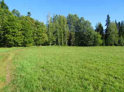 KOIVUKYLÄ 5.10 Havukoskenpuisto Tunnus B3 Pinta-ala B3: 6 993 m 2 Kaavamerkintä AK: VL Luonto- ja maisema-arvot Avoin maisematila. Luonnon monimuotoisuuskohde.