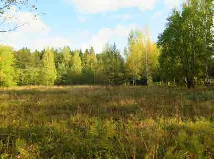 KOIVUKYLÄ 5.13 Päiväkummunranta Tunnus B3 Pinta-ala B3: 10 738 m 2 Kaavamerkintä AK: P, Y Luonto- ja maisema-arvot Erityisarvot Virkistyskäyttö Nykytila Hoidon tavoite Kunnossapito Avoin maisematila.