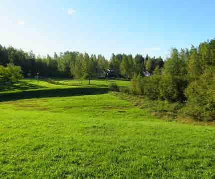 KOIVUKYLÄ 5.14 Ester Koskelaisen puisto Tunnus B2 Pinta-ala B2: 28 261 m 2 Kaavamerkintä AK: VL Luonto- ja maisema-arvot Avoin ja puoliavoin maisematila.