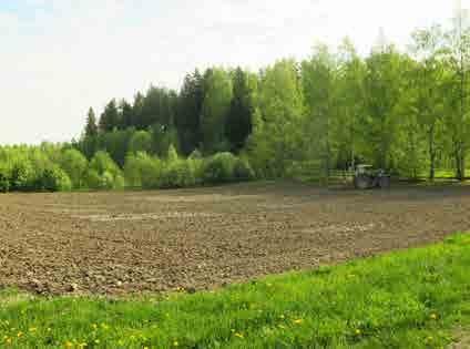 KORSO 6.4 Anttilanpuisto Tunnus B1 ja B3 Pinta-ala B1: 22 858 m 2, B3: 5 819 m 2 Kaavamerkintä AK: VL Luonto- ja maisema-arvot Maiseman ja luonnon monimuotoisuuskohde.