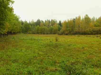 KORSO 6.11 Maarukanpiha Tunnus B3 ja B4 Pinta-ala B3: 12 599 m 2, B4: 6 365 m 2 Kaavamerkintä AK: VL Luonto- ja maisema-arvot Avoin ja puoliavoin maisematila. Näkyvyys tiemaisemassa.