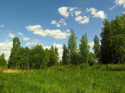 KORSO 6.14 Mertaranta Tunnus B3 Pinta-ala B3: 8 856 m 2 Kaavamerkintä YK: VL Luonto- ja maisema-arvot Avoin ja puoliavoin maisematila. Näkyvyys tiemaisemassa.