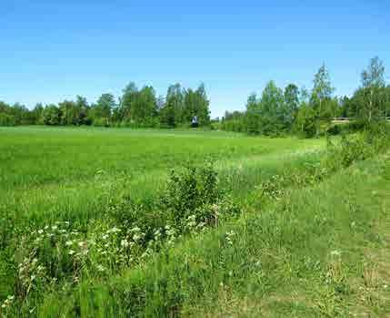 HAKUNILA 7.15 Läntinen ja Itäinen Vaarinkytö Tunnus 0920024283, 0920024384 B1 Pinta-ala B1: 14 151 m 2 Kaavamerkintä AK: EV, EM Luonto- ja maisema-arvot Avoin maisematila.