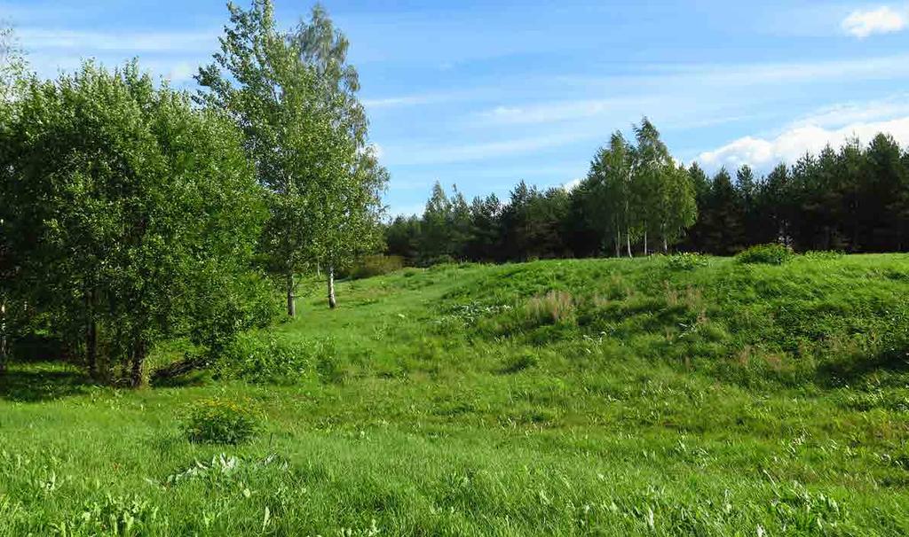 5.4 Käyttöniityt B2 Käyttöniityt on kokonaan uusi hoitoluokka. Se palvelee ympäristöä ja käyttäjiään varsin kustannustehokkaasti tarjoamalla paikan esimerkiksi eväsretkelle tai pallopelille.