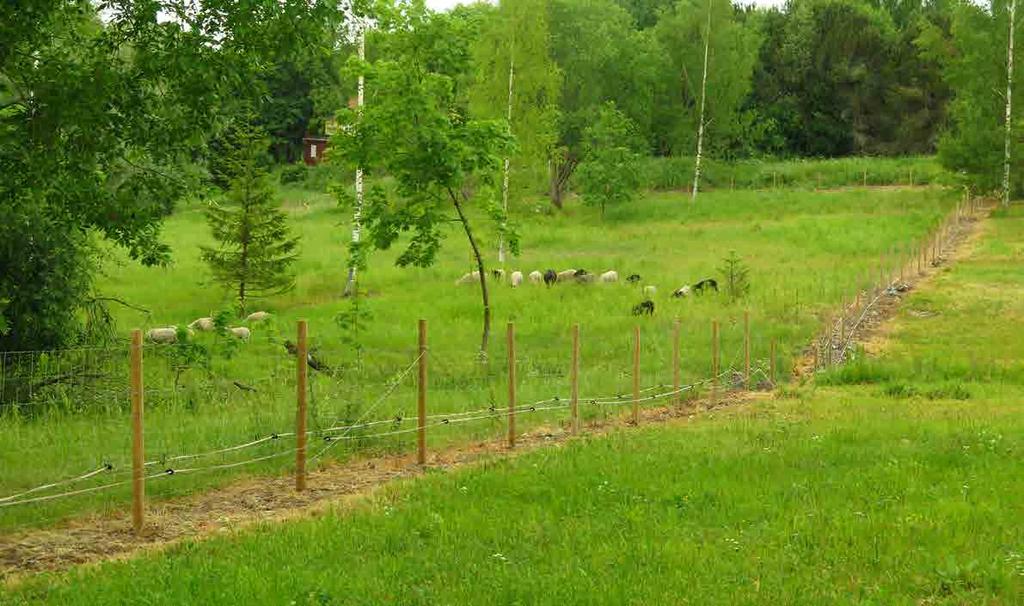 5.5 Maisemaniityt ja laidunalueet B3 Määrällisesti suurin osa kohteista sijoittuu luokkaan maisemaniityt ja laidunalueet. Niitä on yhteensä 79 kappaletta. Hoitoluokassa on varsin erilaisia kohteita.
