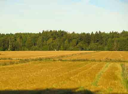 AVIAPOLIS 3.9 Kaitala Tunnus 0920039452, 0920039744 B1 Pinta-ala B3: 30 980 m 2 Kaavamerkintä YK: MT Luonto- ja maisema-arvot Erityisarvot Avoin maisematila ja osa laajempaa viljelymaisemaa.