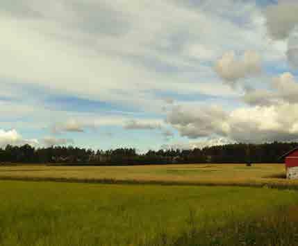 AVIAPOLIS 3.16 Krakanpelto Tunnus 0920056114, 0920171100 B1 Pinta-ala B1: 103 422 m 2 Kaavamerkintä AK: VL Luonto- ja maisema-arvot Avoin maisematila. Näkyvyys tiemaisemassa.