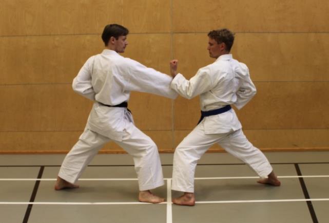 Budoseura Heiwa ry Kumiteopas