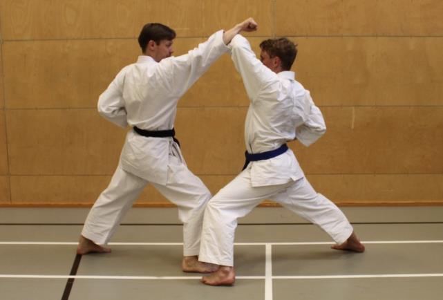Budoseura Heiwa ry Kumiteopas (2018/a) s.