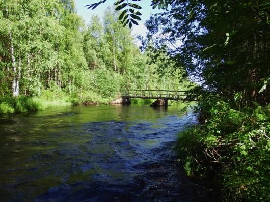 10 Kuva 2. Niskakosken yläjuoksulta kuvattu kohti vanhaa patosiltaa.