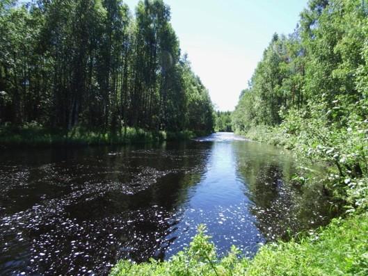 Oikealla koskenperkauksesta syntyneellä penkereellä kasvaa