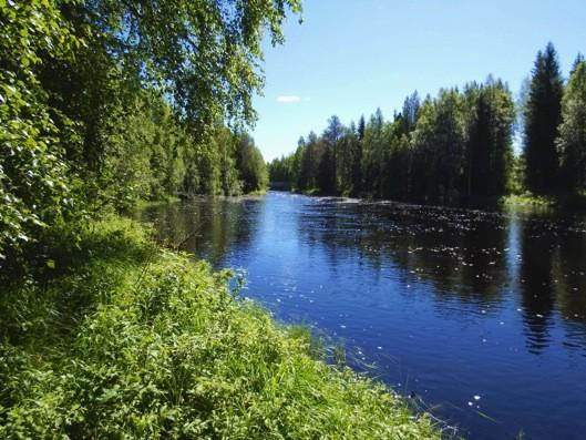 14 Kuva 10. Kokkokoskea edeltävä lompolo.