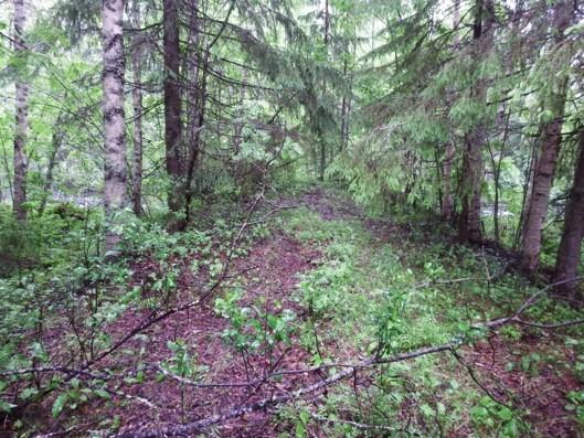 25 Maarakenteet kuvattu maavallin päältä kohti jokea. Maavalli on päältä tasainen.