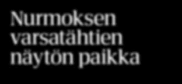 0 e v prn r Magnificent Rodney 1: 1 0-0-0 1,a 0 e 1: 0-1- Yht: 1-- Vendela Palema-Alf Palema Ha Tor H 01. 0 -a hpl C C 000 Ahtiainen Mika&Perho Elina, H 0. 1,a C C 000 Orimattila M Fors F 1.