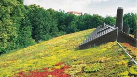 :sta (järjestelmäratkaisu Kalteva viherkatto toteutettu 1986).