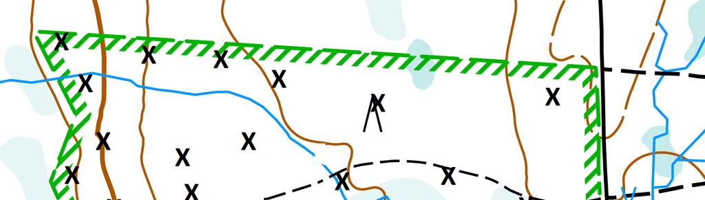 22 Kuva 34, Pähkinähakki (Nucifraga caryocatactes), 1 pari. Tästä pesäpaikoilla piileskelevästä lajista saatiin selkeä äänihavainto varhaisimmassa laskennassa 9.4.2017: mekaanisen metallinen ja rullaava ääni kuului noin kymmenen kertaa.