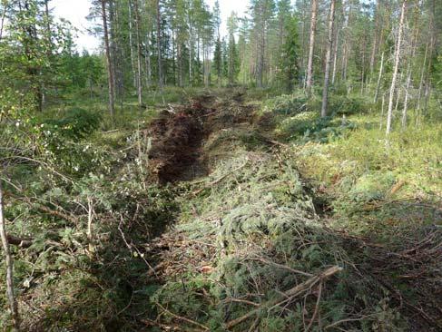 ominaisuuksien vaikutus korjuutyön