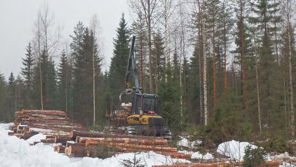 Saman ikäinen ja sama lähtöpuust, Kärsämäki 2015 yläharvennus jssa pistuma 100m3/ha