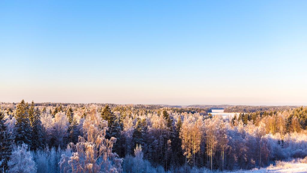 MITÄSKINNARILAN HENKI MERKITSEE MINUN ARJESSANI?