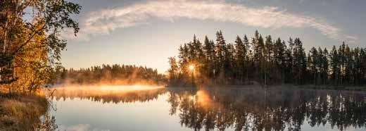 Kiinteistöhuolto Pekkanen Oy