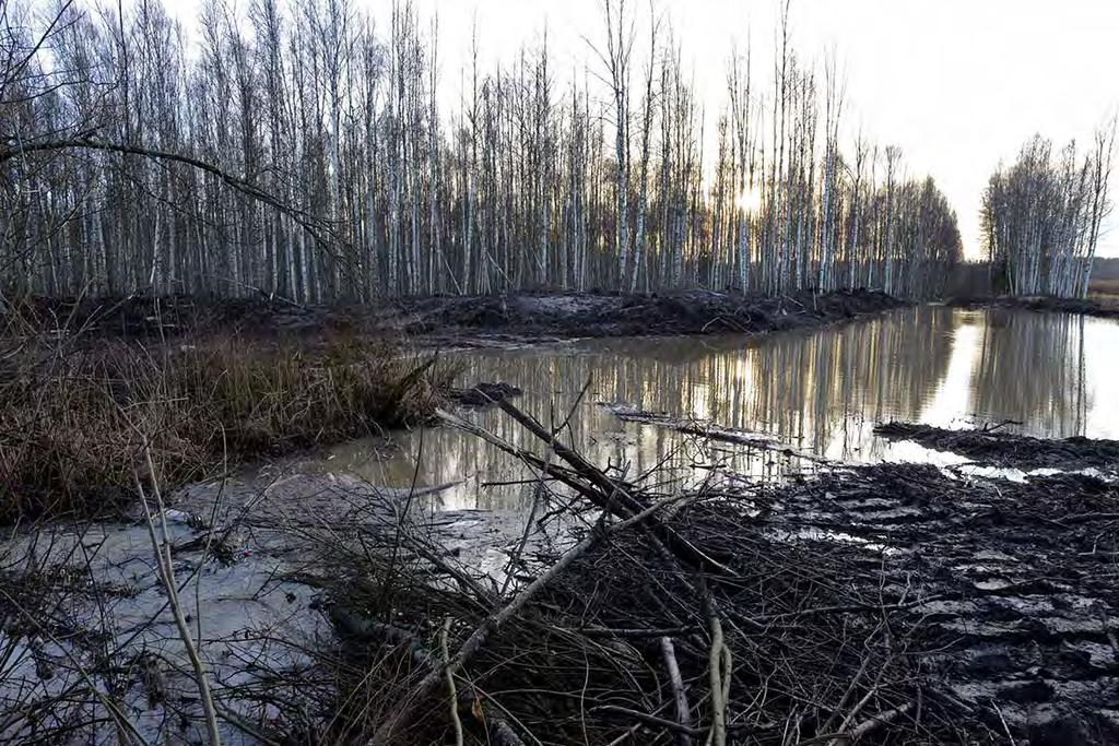 Rämettynyt kapea ja matala uomansuu (vas.) muodostaa jo nyt ja etenkin tulva aikaan tulpan, mistä vesi leviää molemmin puolin mataliin altaisiin 1 (oik.) ja 3 (vas.) heiveröisten kaivukatkojen läpi.