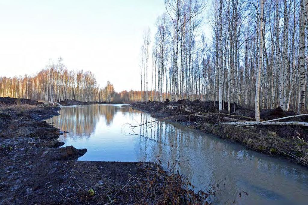 Kuva 4. Sammalsillanojan uoma (oik.) laskee etelästä Uudenkylän peltoaukealta suoraan altaaseen 2 ja jatkuu (nuoli) kohti Sylvöjärveä entisessä uomassaan.