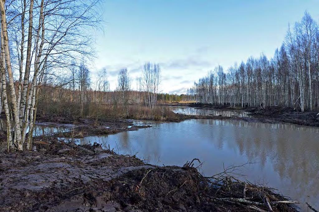 7 Kuva 5. Altaan 2 läjityspenkereeltä koilliseen heti ruoppauksen jälkeen. Matalat altaat 1 (vas.) ja 3 (taust.
