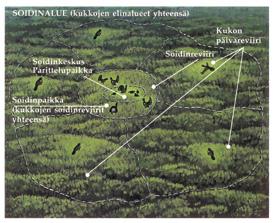 omina suodattimina pysäyttäen kiintoainetta ja sitoen ravinteita maa- ja metsätalouden sekä turvetuotannon kuivatusvesistä.