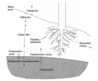 20 huokostilaa sekä makrohalkeamia ja huokosia hyväksi käyttäen vesistöihin, ja osa suotautuu maaperän lävitse pohjaveteen (Kuva 3) (Dingman 2008).