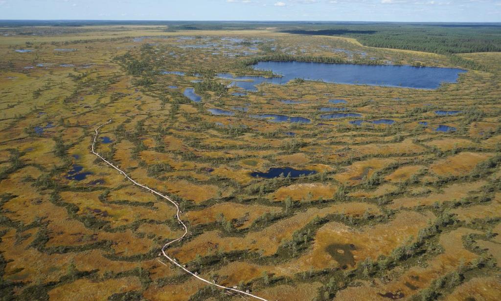 Rakenteen ja toiminnan palauttaminen Monimuotoisuus Luontotyypit, lajisto Kv & kans BD-strategiat Ramsar YM