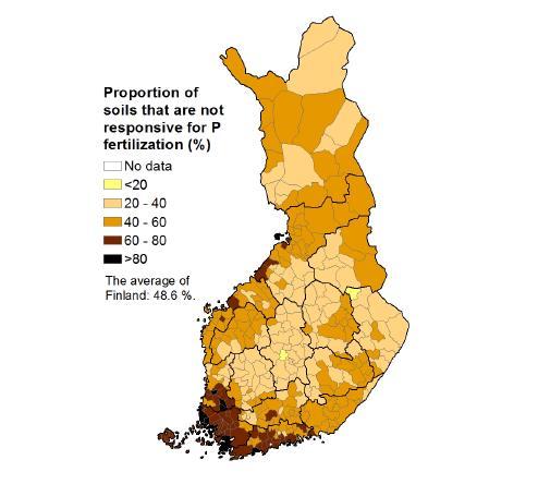 Fosforilannoituksen satovaste Köyliö: keskimääräinen P-luku 39,3 satovaste fosforilannoituksella 12 %