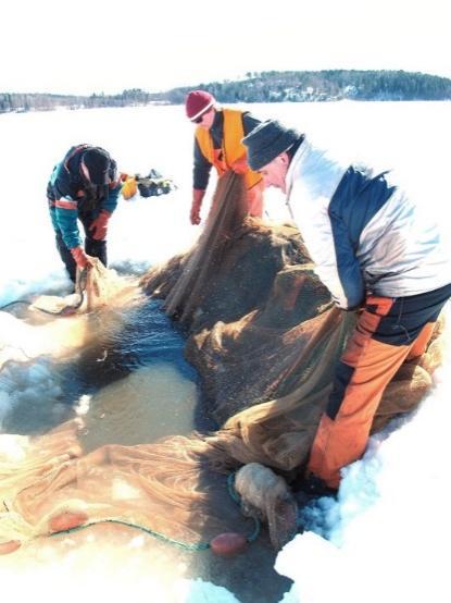 Järvikunnostukset Teho-/hoitokalastus Enäjärvi Poikkipuoliainen Tervalampi Huhmarjärvi Karhujärvi