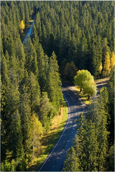 Metsäteollisuuden kuljetusvolyymit vuonna 2017 Kuljetukset Suomessa Tiekuljetukset 63 miljoonaa tonnia ja 8 miljoonaa tonnikilometriä 23 % kaikista kuljetustonneista, 30 % tonnikilometreistä