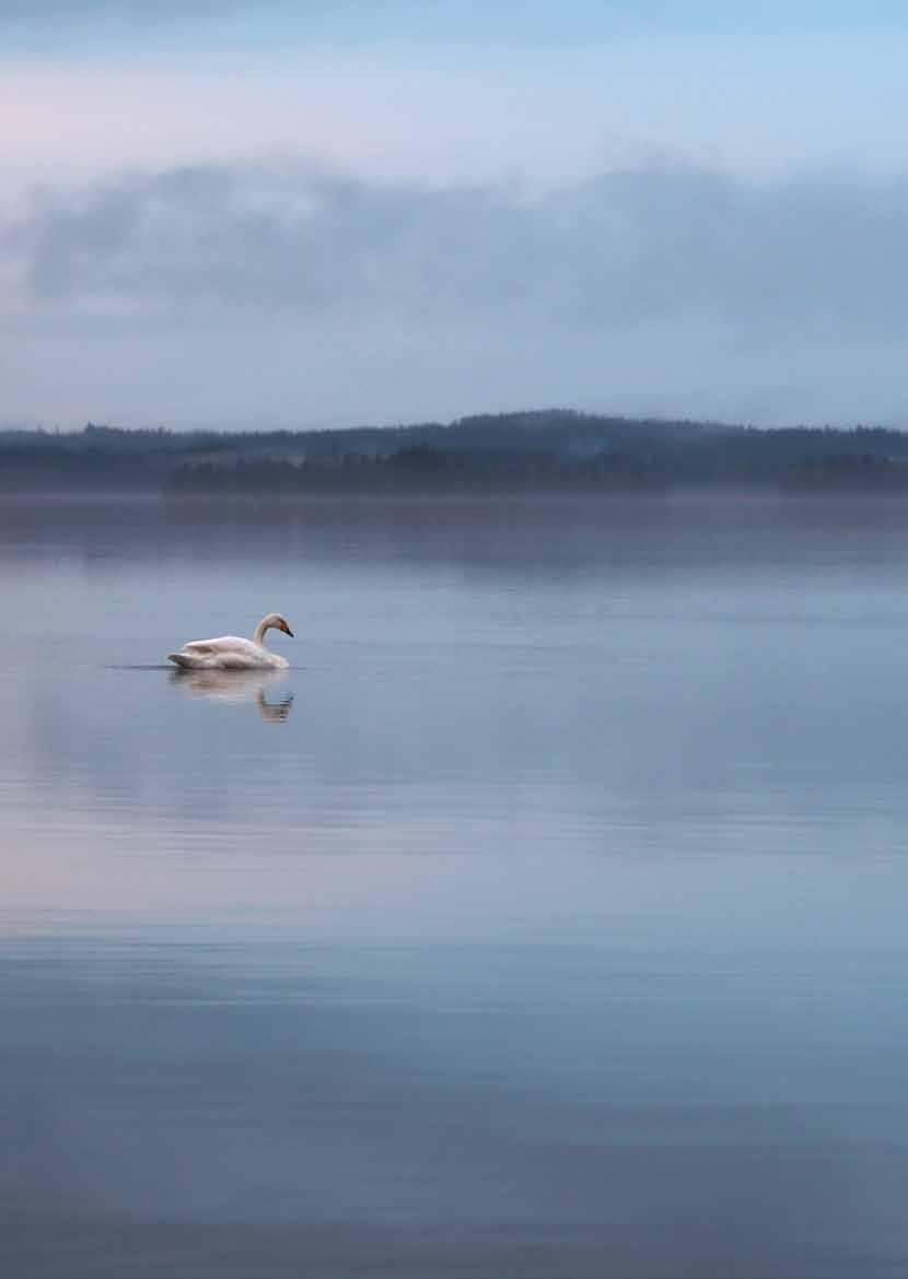 Surun kohdattua SAVONLINNAN SEURAKUNTA Enonkoski