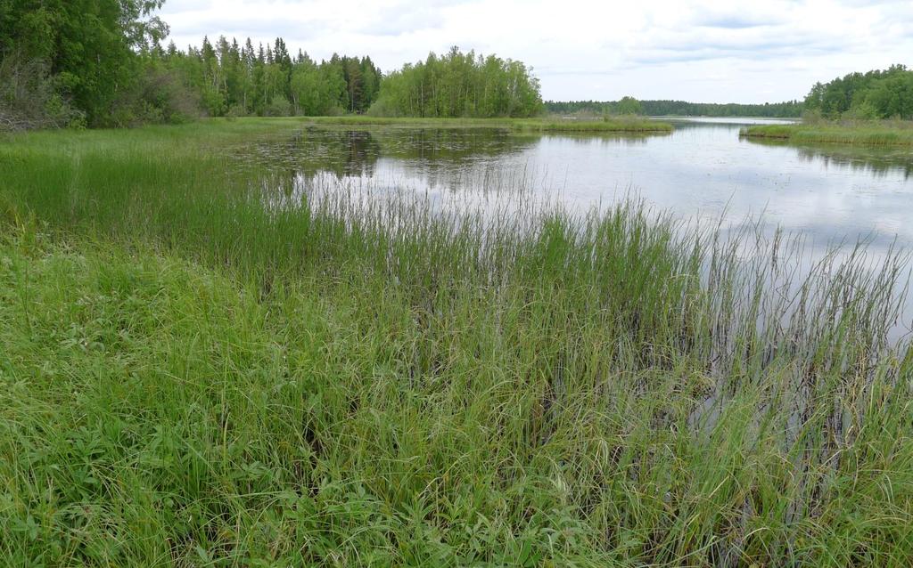 11 altaaseen. Siniluodonlahden säännöstelyväli on +0,86 - +1,14 metriä merenpinnasta ja järven vesitilavuus on 1,5 miljoonaa kuutiometriä (Järviwiki, 2016).