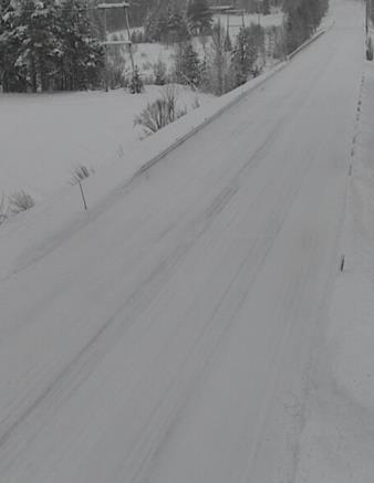 toimintakyvyn huononemisesta, joten järjestelmän ei oleteta tässä tutkimuksessa pystyvän estämään sairauskohtauksesta johtuneita onnettomuuksia.