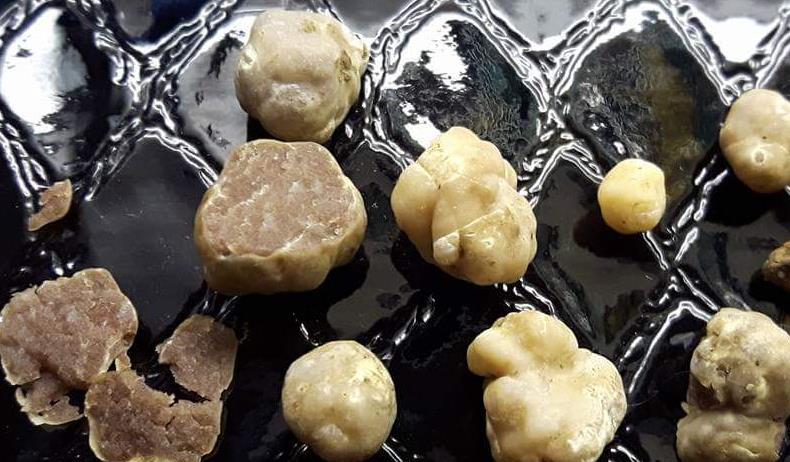 20 kuulastryffeli murenee ja lytistyy helposti. Tuoksua Saloniemi kuvailee valkosipulimaiseksi. Blick (2018) kuvailee löytämiensä tuber anniaen makua miedoksi. Kuva 2.