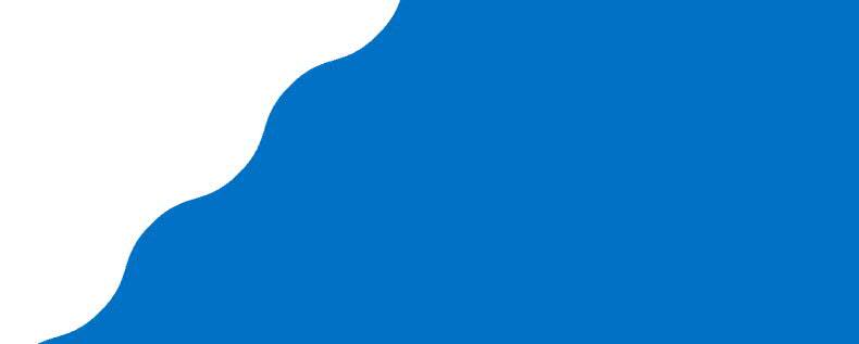 PERUSTELUINEEN 29.1.