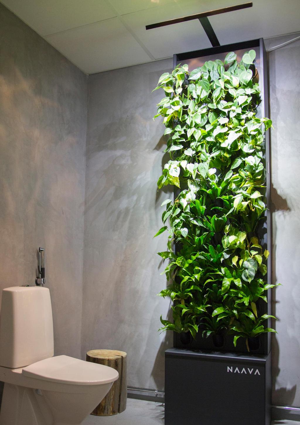 Kun ollaan älyviherseinien showroomilla, mitäpä olisi WC ilman Naavaa?