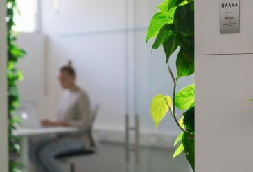 suunnittelusta vastannut Naavan Brand Manager Eeva Niemelä. Työtilan kokonaisvaltainen suunnittelu lähti liikkeelle naavalaisten työnteon tapojen tutkimisesta.