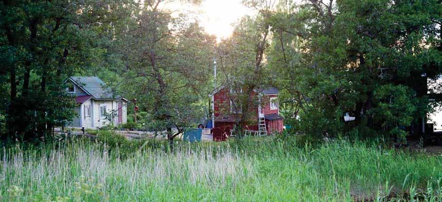 Kesähuvila-asutuksestaan tunnettu Iso Vasikkasaari sijoittui Helsingin höyrylaivareittien varrelle.