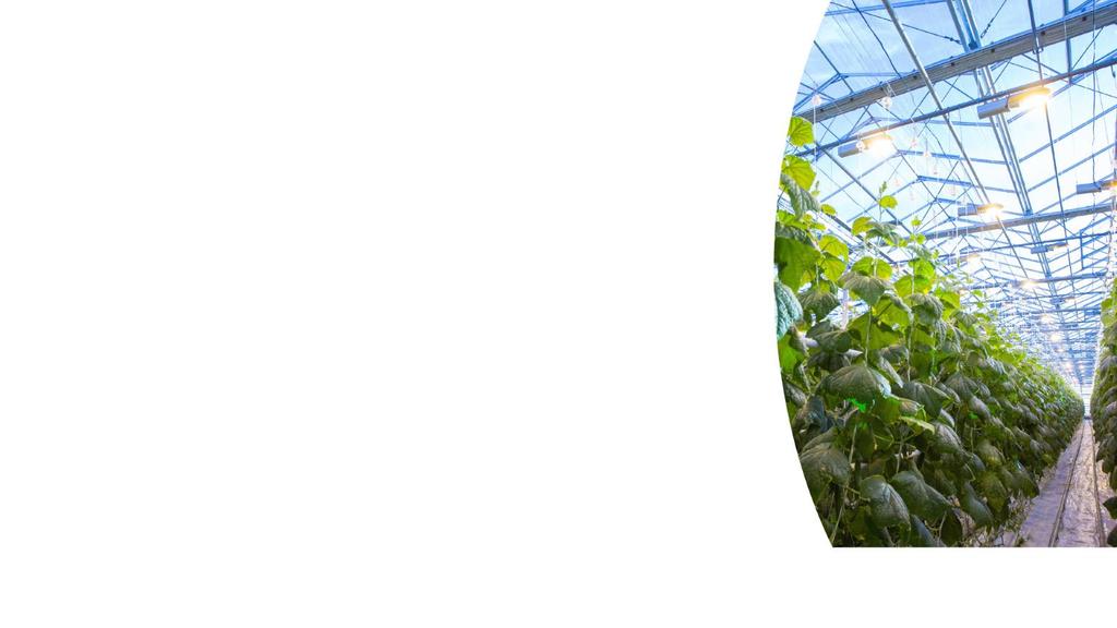 Savon Voiman virtuaalivoimalaitos palveluna Teknologiariippumaton - Savon Voima on rakentanut edistyksellisen virtuaalivoimalaitoksen yhdessä saksalaisen Energy2marketin kanssa Helppo - Savon Voima