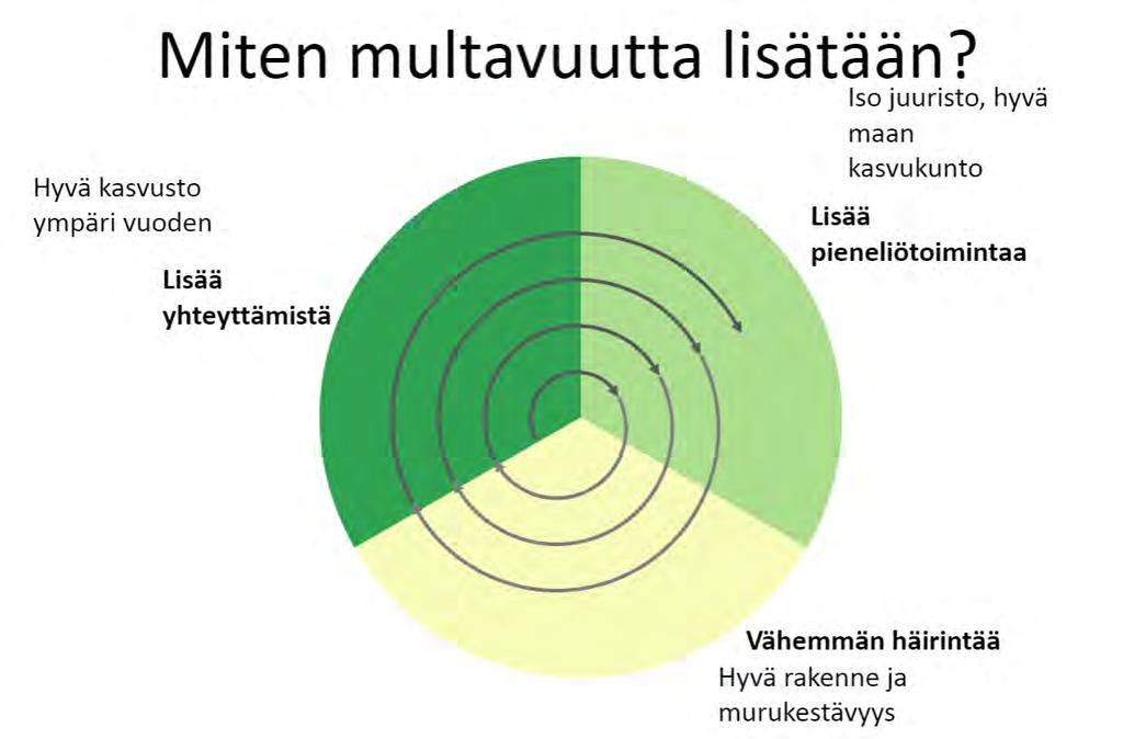 Tuomas Mattila,