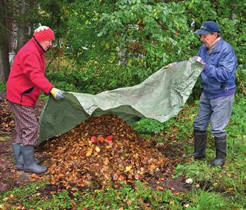 Markkinoilla on puutarhajätteelle tarkoitettuja kompostoreja, mutta näiden jyrsijäsuojaus ei ole riittävä elintarvikejätteen kompostointiin.