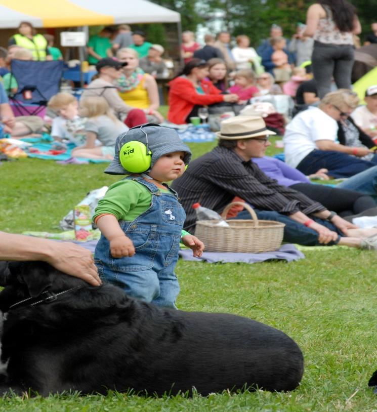 Strategisia haasteita hallinnan ja itseohjautuvuuden jännite (esim.