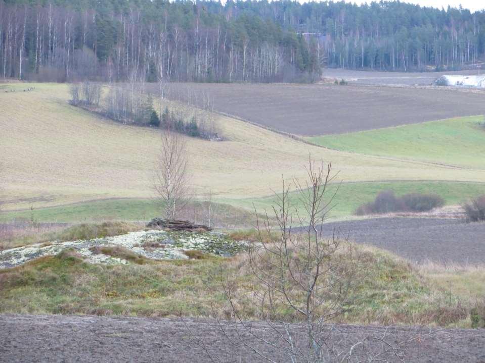 Maanparannusaineet mitä maassa tapahtuu