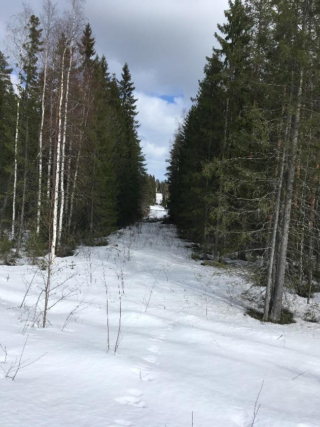 3 vanha käytöstä poistunut voimajohtolinja (kuva 3). Kuva 3.