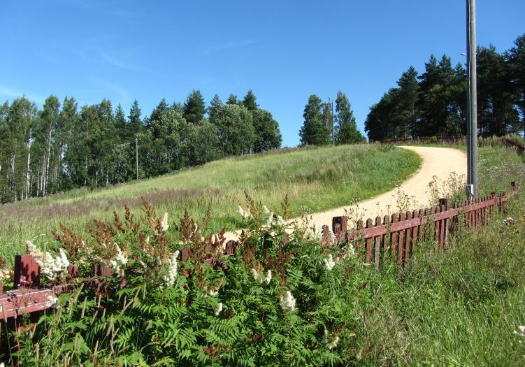 Metsät tällä alueella ovat pääosin varttuneita ja kasvillisuus on rehevää ja luonnonmukaista tarjoten sopivia elinympäristöjä monille metsälajeille.