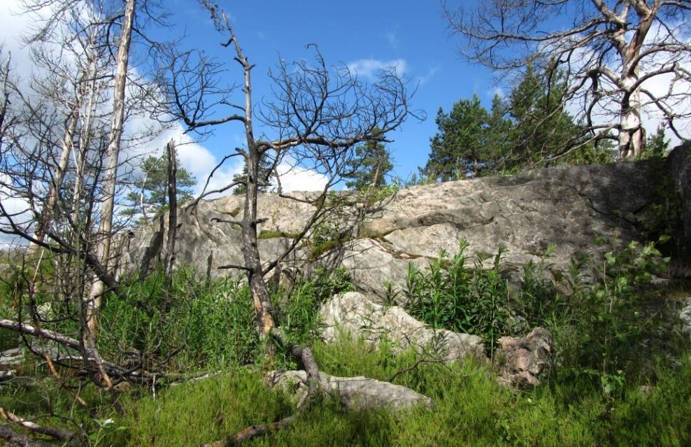 Arvoympäristöt Valtakunnallisesti merkittävät rakennetut kulttuuriympäristöt (RKY 2009): Pääkaupunkiseudun I maailmansodan linnoitteet.